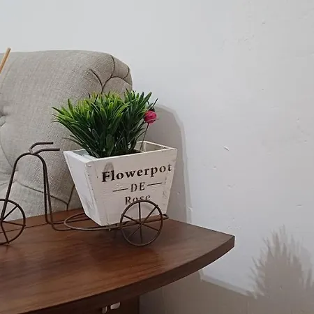 Appartement Annina *